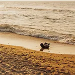 Hotel Linea Mare