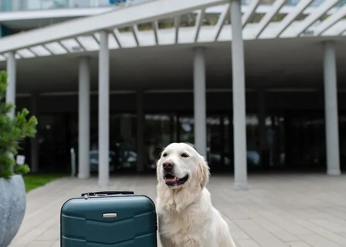 Linea Mare Отель 5*